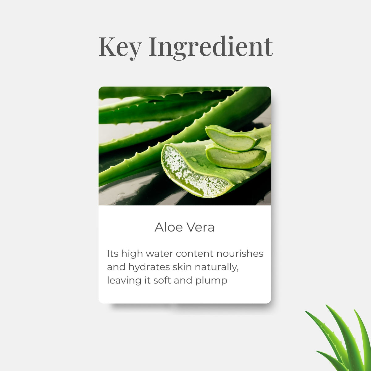 Aloe Vera Gel