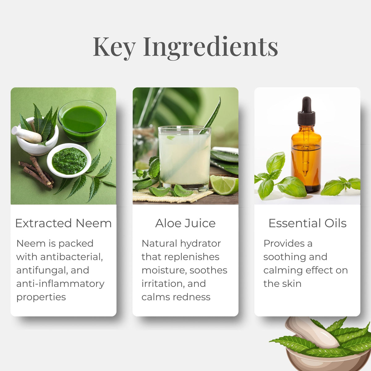 Neem + Aloe