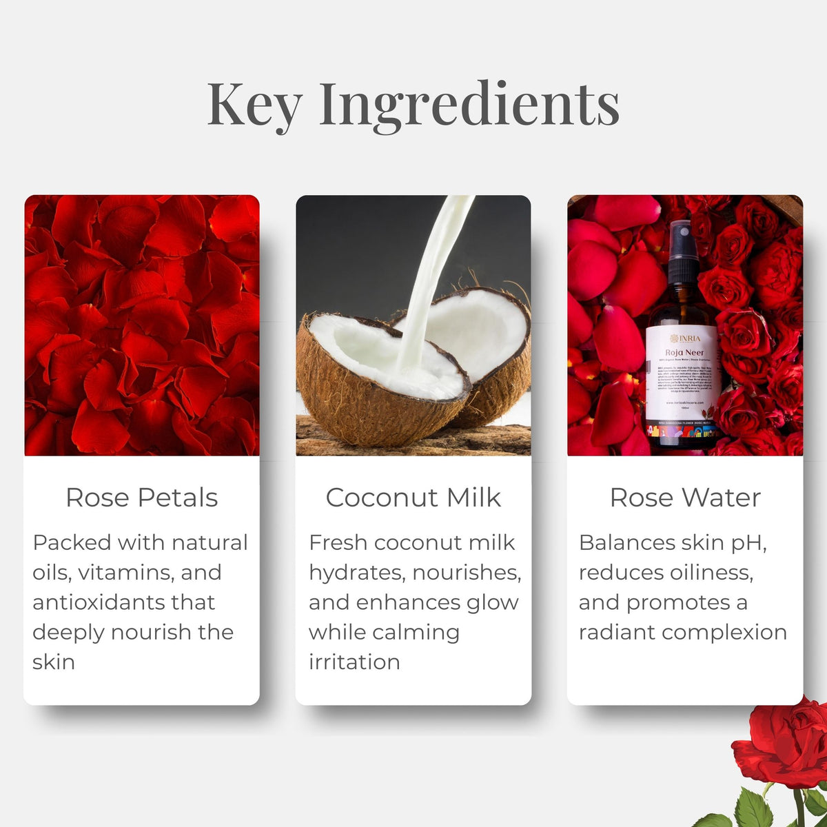 Rose N Clay