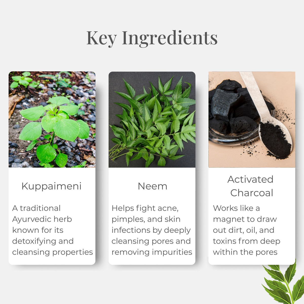 Purifyme - Detox Face Pack