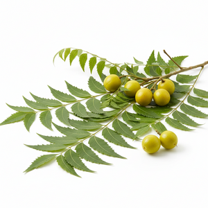 Neem